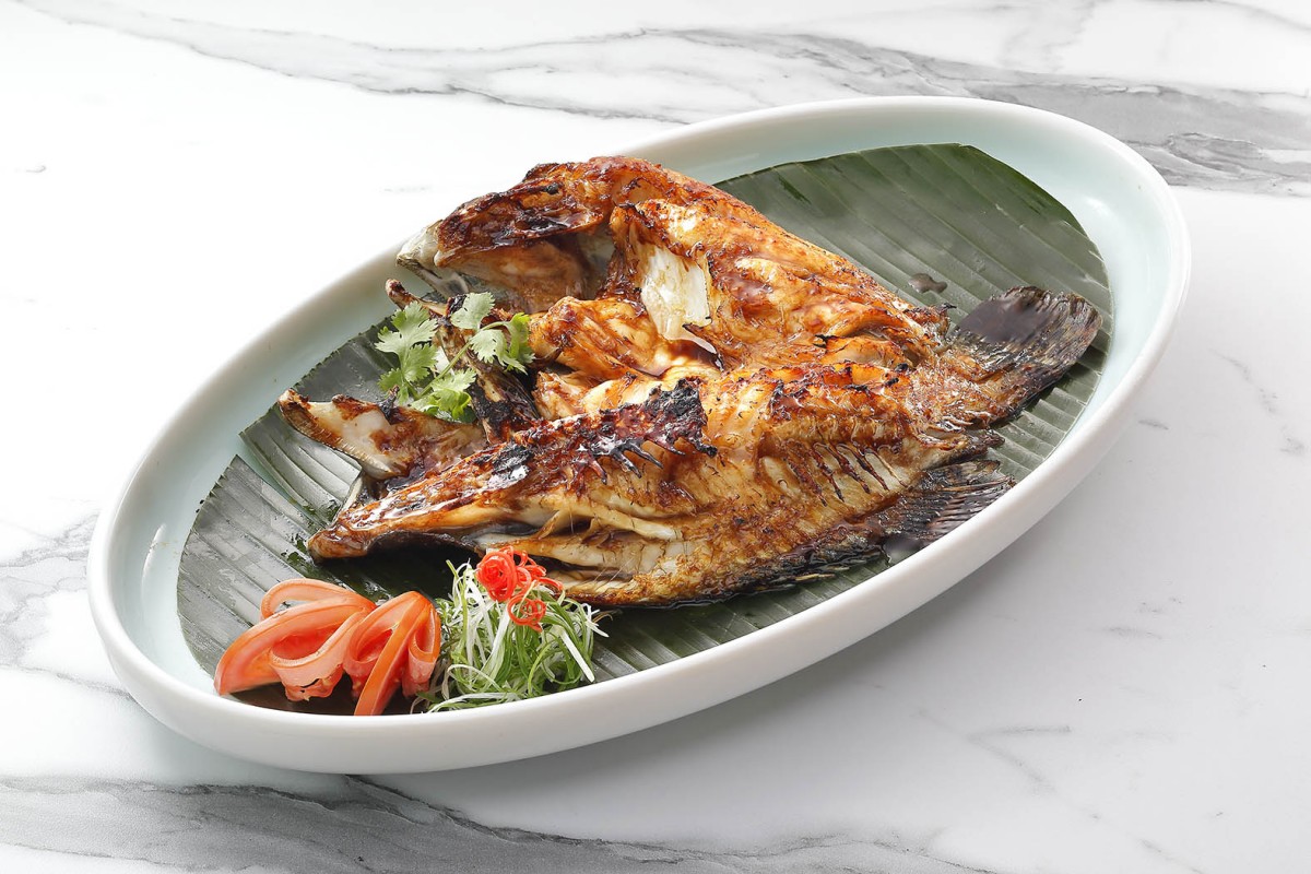 Image Product Live Fish 鱼类