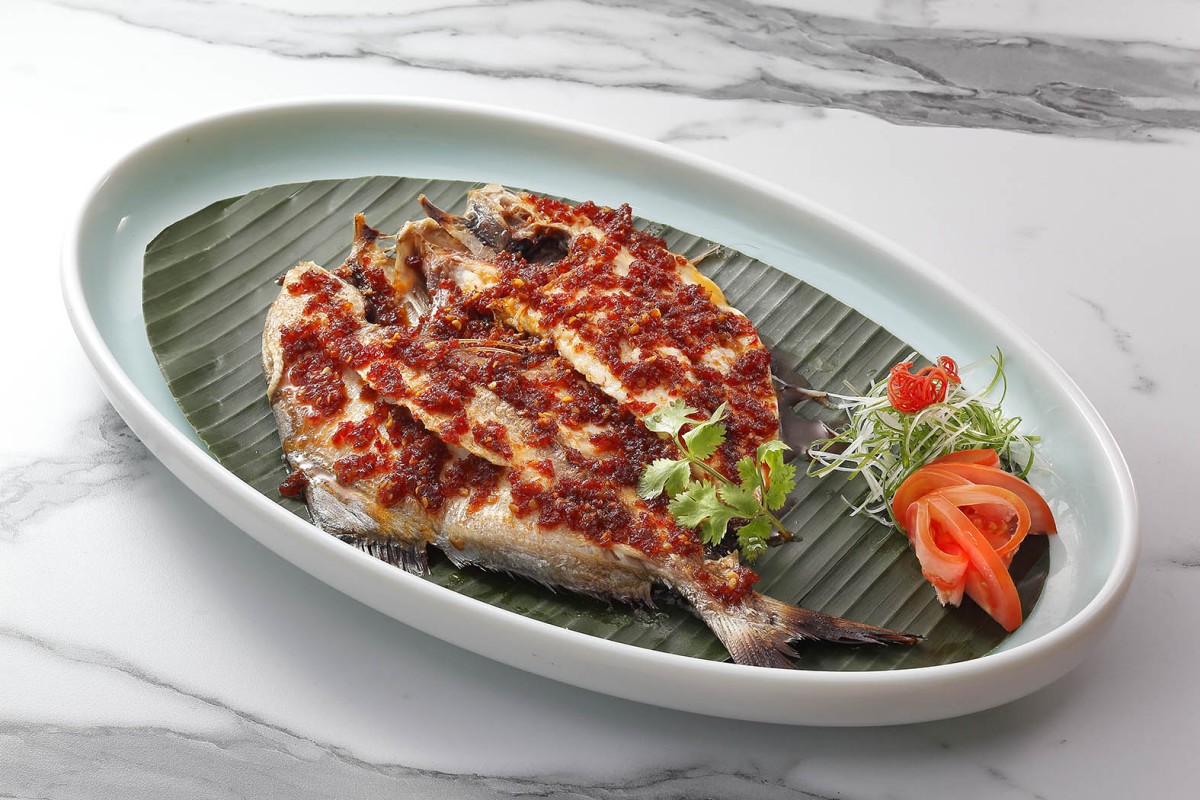 Image Product Live Fish 鱼类