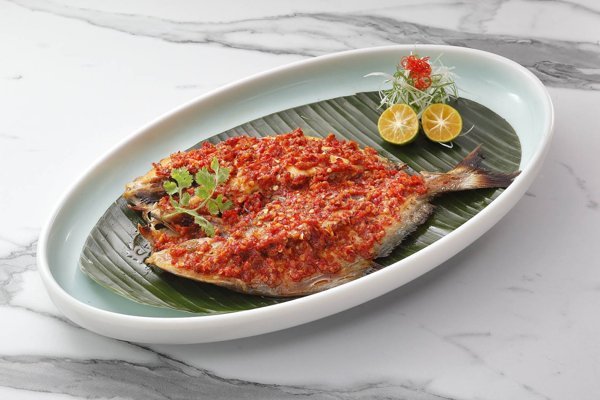 Image Product Live Fish 鱼类