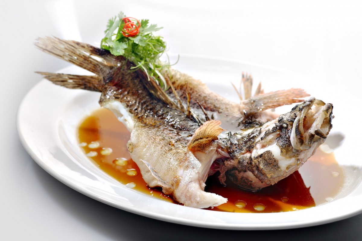 Image Product Live Fish 鱼类