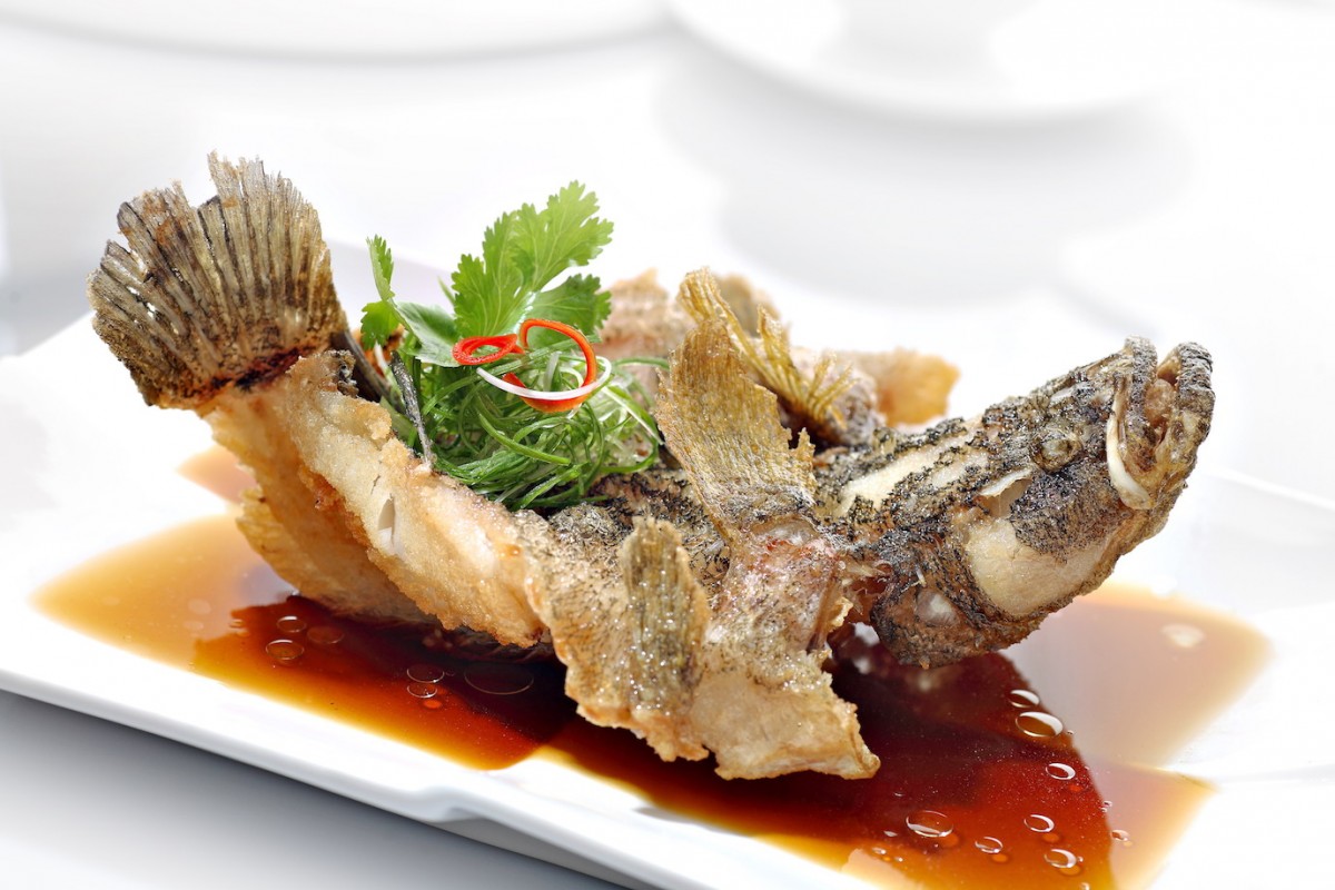 Image Product Live Fish 鱼类