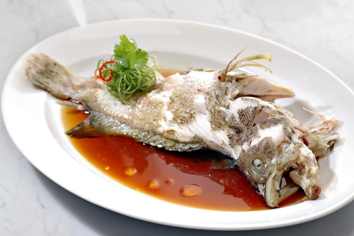 Image Product Live Fish 鱼类