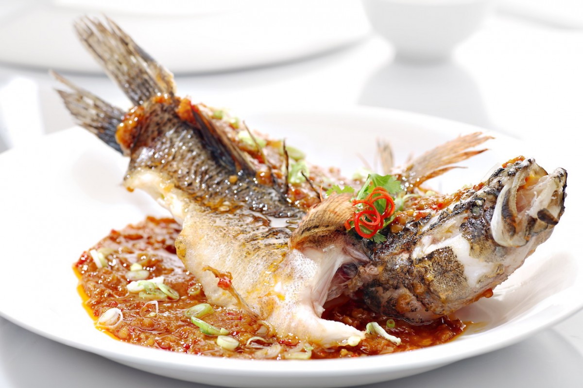 Image Product Live Fish 鱼类