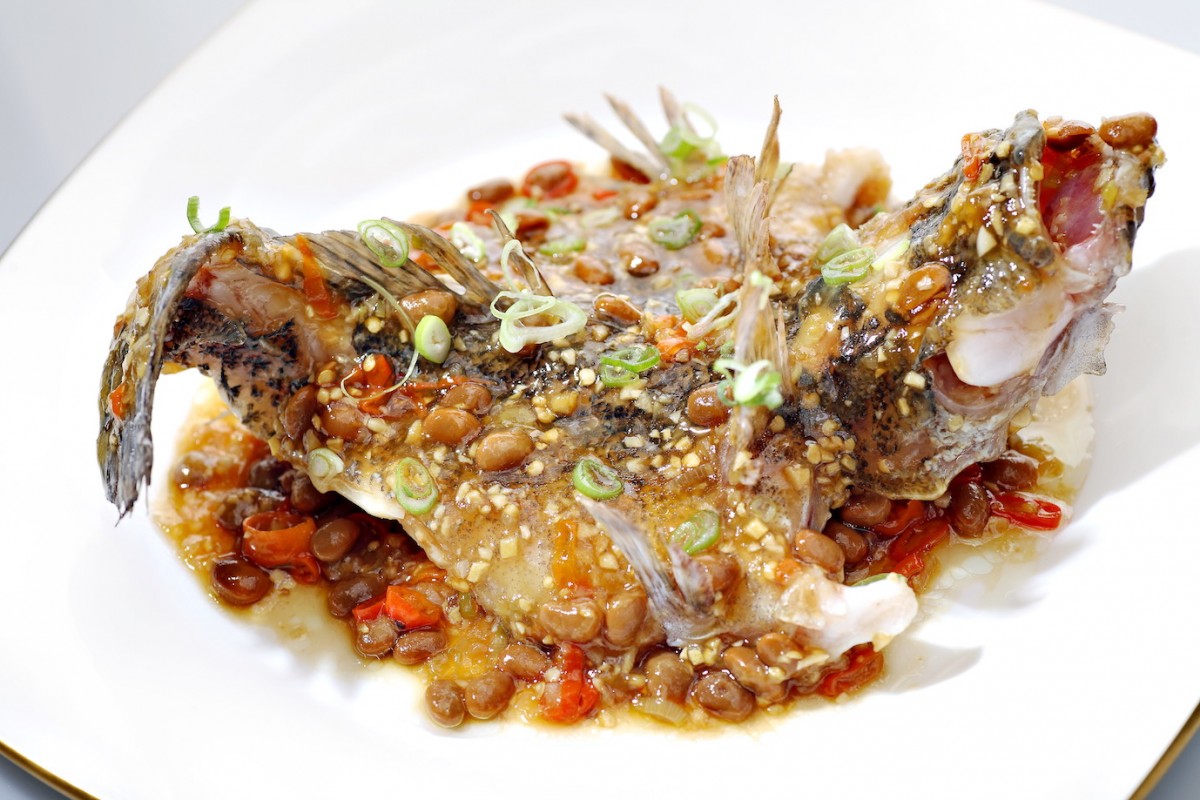 Image Product Live Fish 鱼类