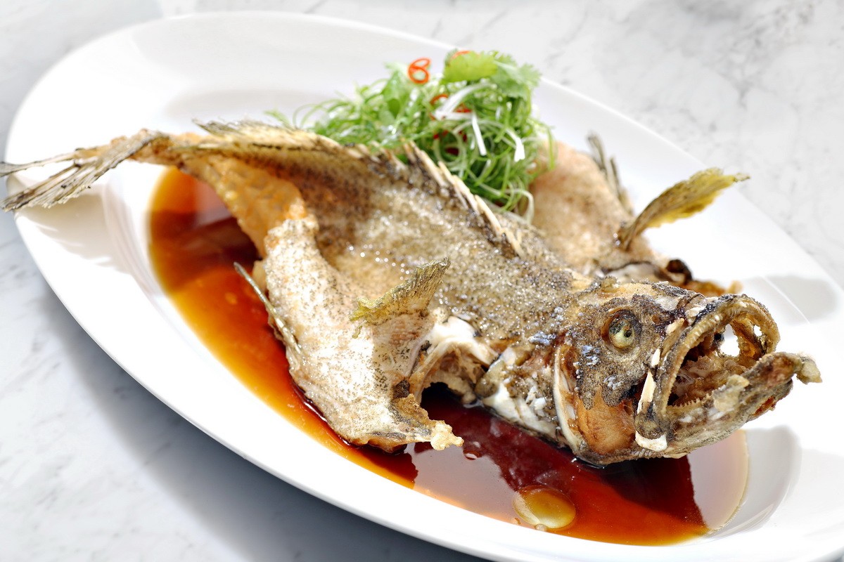 Image Product Live Fish 鱼类
