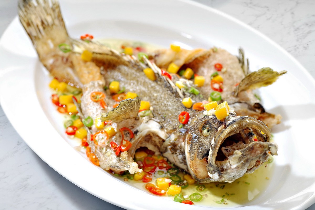 Image Product Live Fish 鱼类