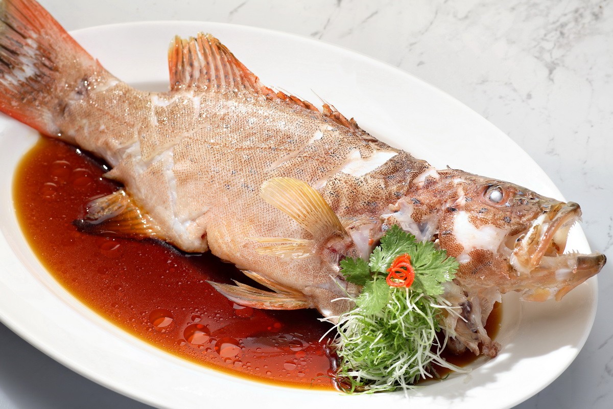 Image Product Live Fish 鱼类